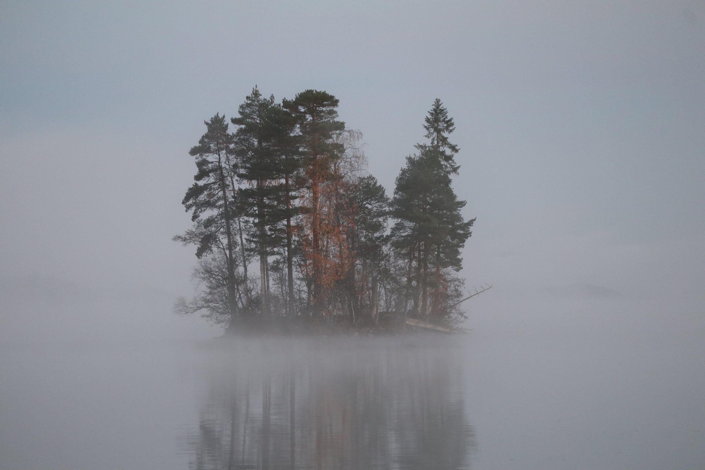 Det fördolda