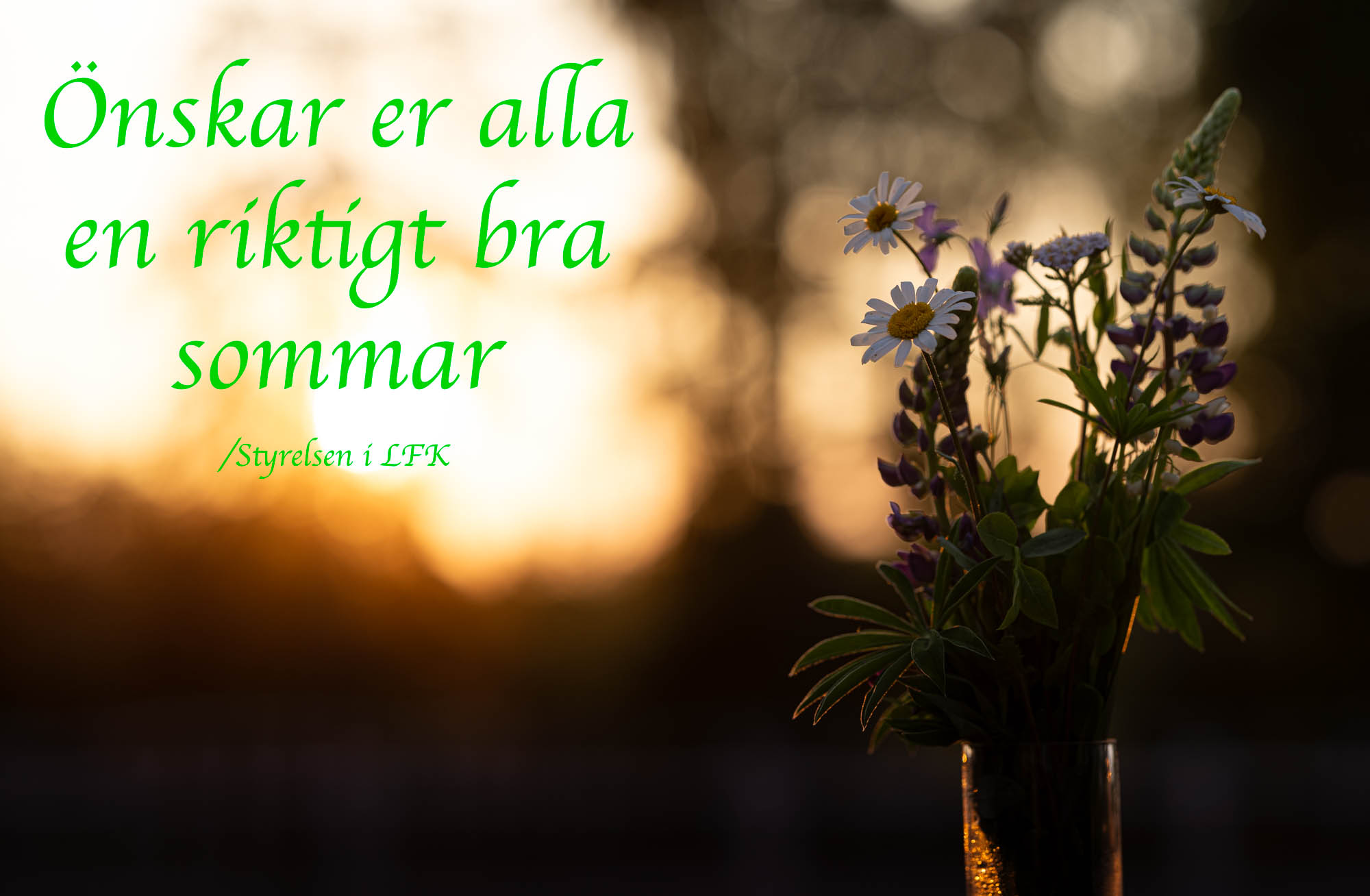 LFKsommar2023