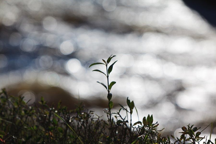 rickard.falk.bergslagen12011