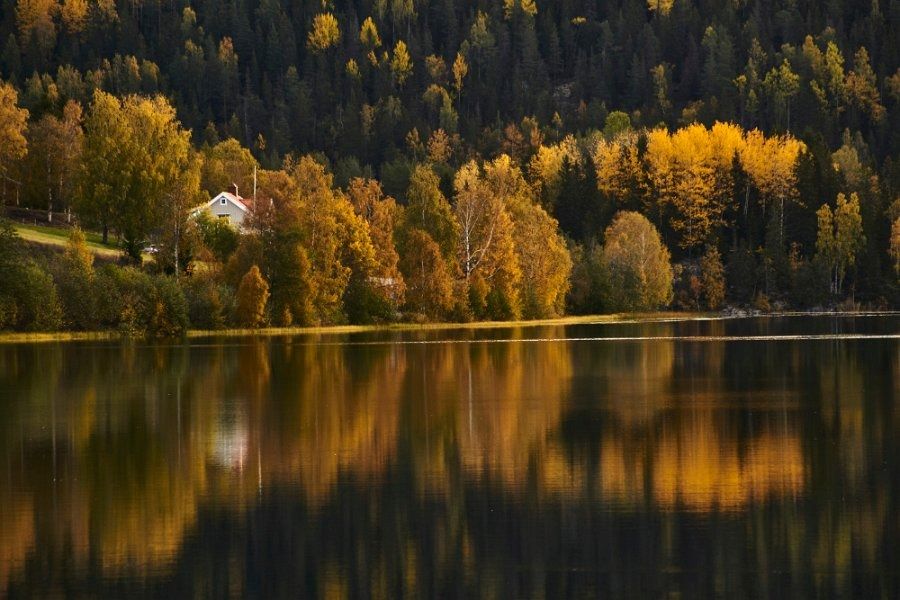 dennis bederoff hogakusten1