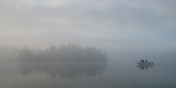 tidig morgon anders bauer projektion