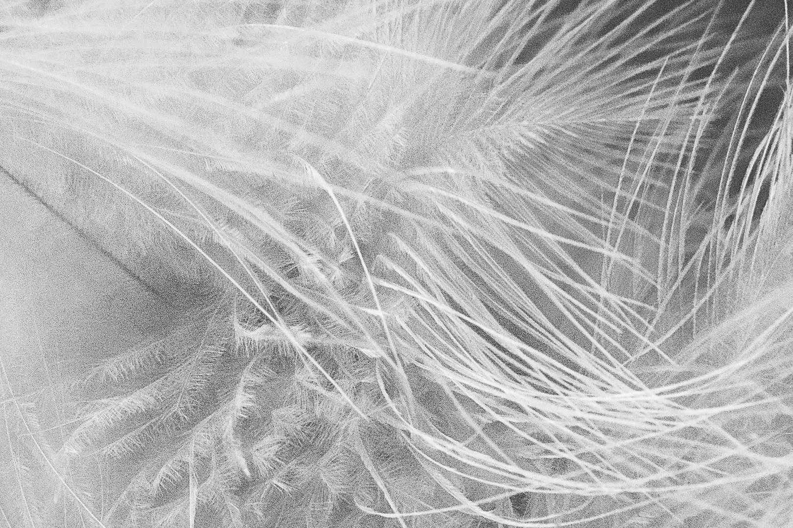 5.martamunoz abstract svav3