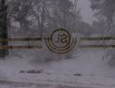 dubbelexponering goeran karlgren bild 1 av