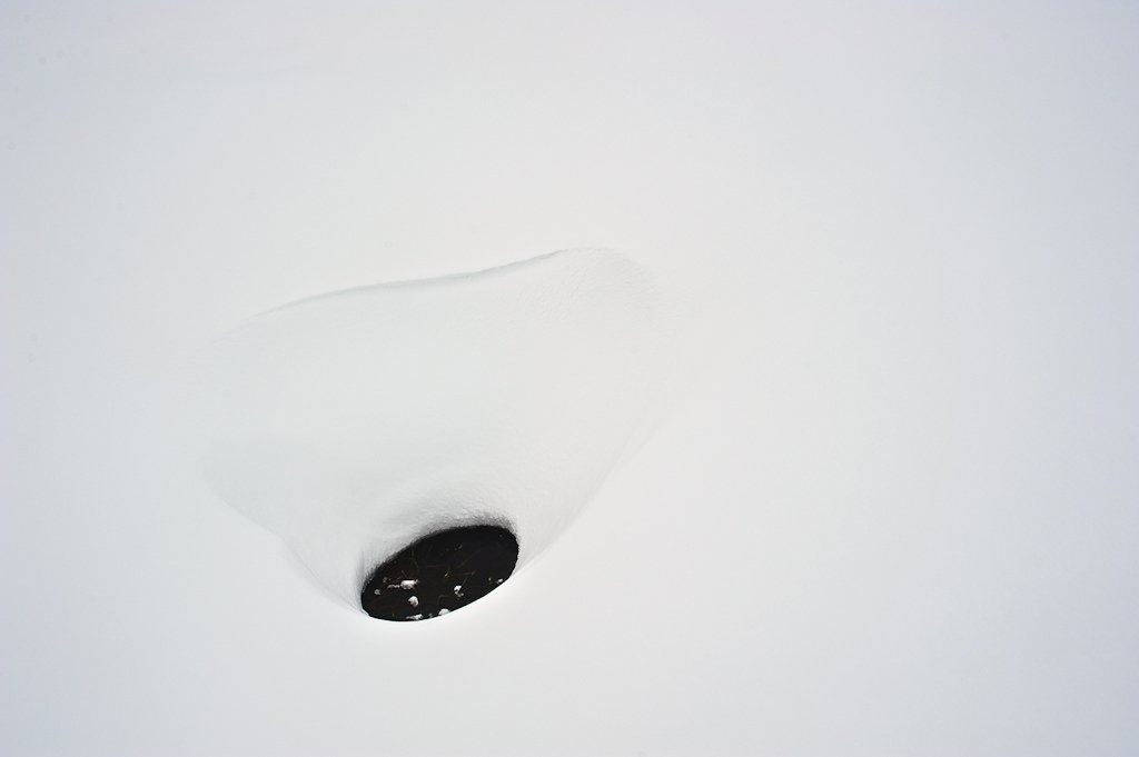 phoca thumb l jesper sannel