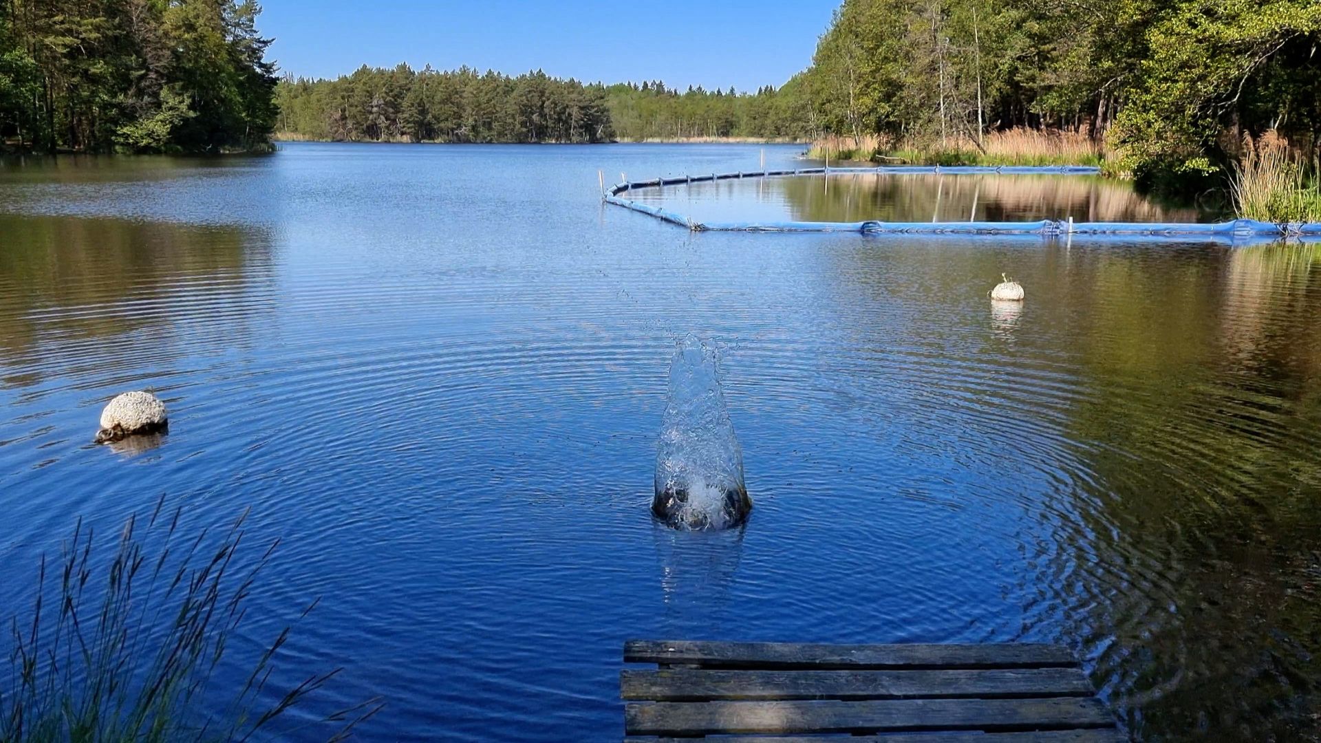 goeran nordenborg staenk bild av