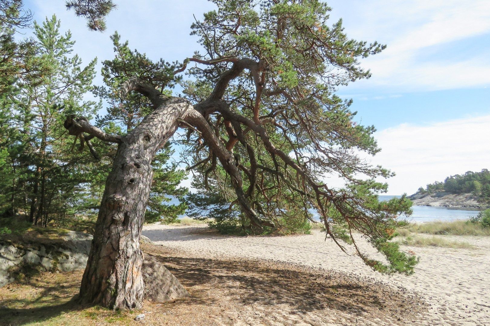 2.2ulf nyman kollektion bild 2 av