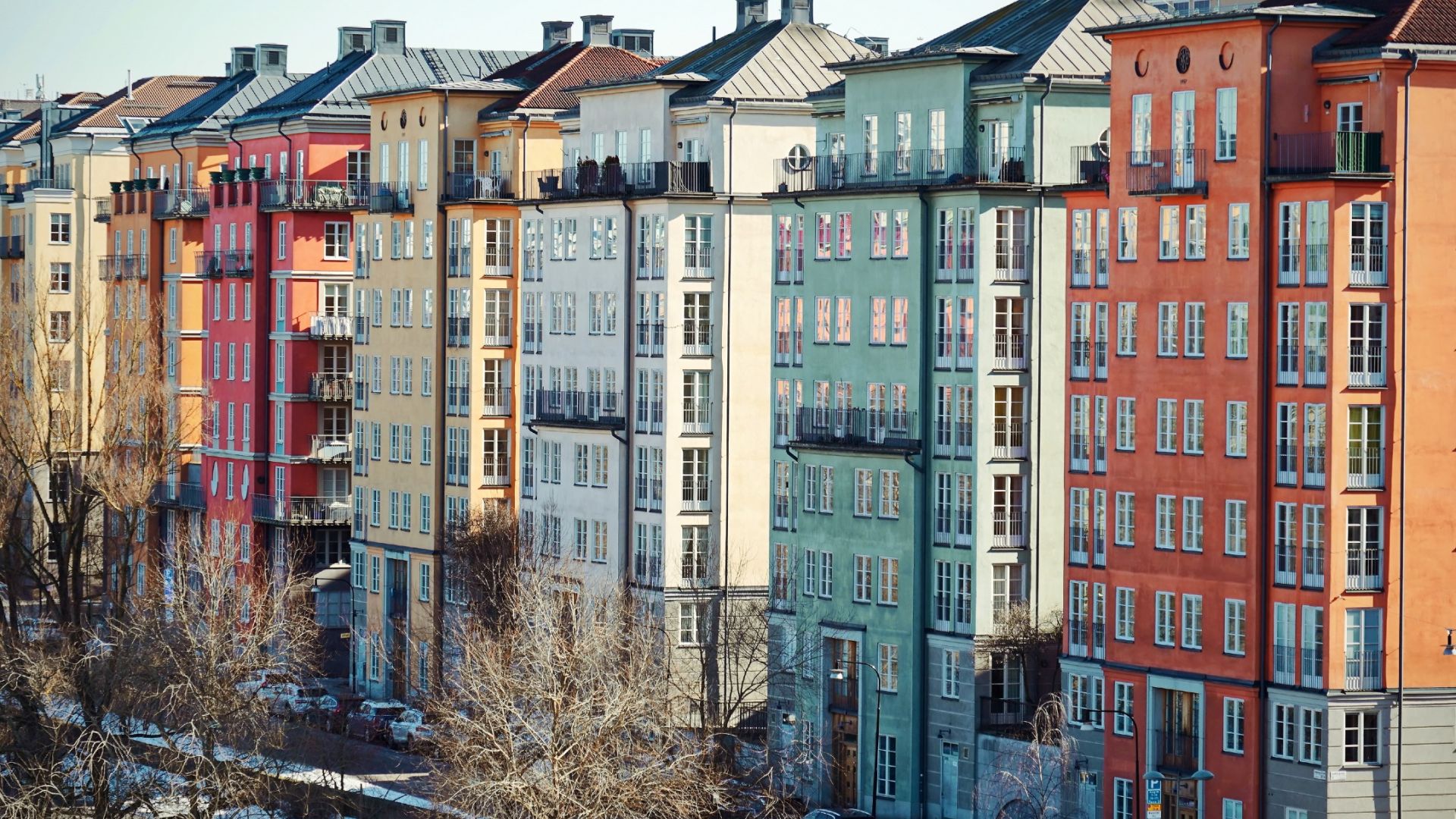Tomas Barth 1:a plats projektion